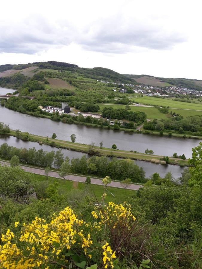 Ferienwohnung Saarblick Ockfen ภายนอก รูปภาพ