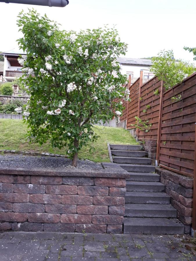 Ferienwohnung Saarblick Ockfen ภายนอก รูปภาพ