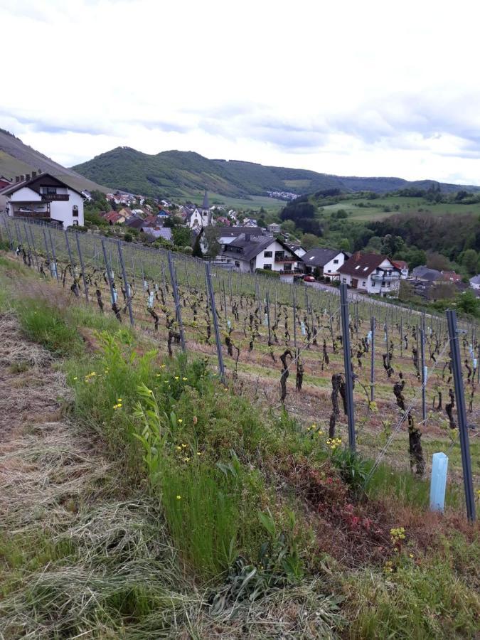 Ferienwohnung Saarblick Ockfen ภายนอก รูปภาพ